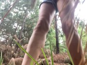 I stumble upon a couple of fallen pines on the trail, pull down my pants, and release my piss 16/16