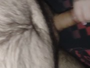 MistressKay pegging my tight ass making me cum hard 1/16