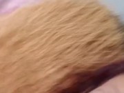 Chupándole el pene a mi vecino y mi dildo 9/16