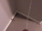 Pissing all over my bedroom carpet and wall, leave a huge messy puddle 5/16