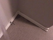 Pissing all over my bedroom carpet and wall, leave a huge messy puddle 6/16
