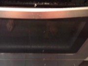 Pissing all over my kitchen stove and floor 8/16