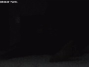 I cheated on my boyfriend with this client today 1/16