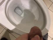 Pissing in the Toilet at my Posh work environment (Compilation) 10/16