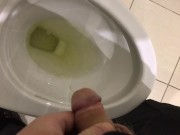 Pissing in the Toilet at my Posh work environment (Compilation) 4/16