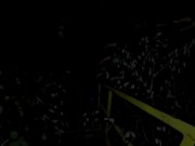 PUBLIC | BLOWJOB | Night City Lights | Adventure Compilation 6/16