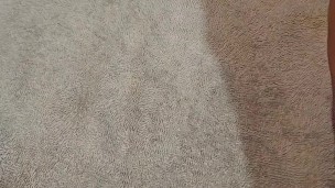 MACRO Tiny was spying on me so thought him lesson . Full video available get it touch