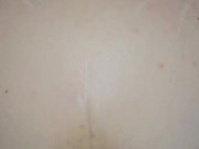 sfondami a pecora bastardo 1/16