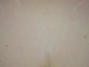 sfondami a pecora bastardo 12/16