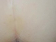 sfondami a pecora bastardo 13/16