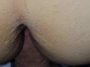 sfondami a pecora bastardo 14/16