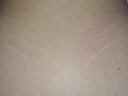 sfondami a pecora bastardo 2/16