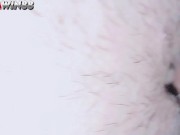 Reel sex jakarta bandung. Prank security mall ramayana di jilmek orgasm dua kali ngentot sampai crot 14/16