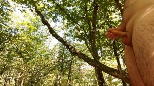 Calm long jerking off my big cock in public forest. Iamhornybobo