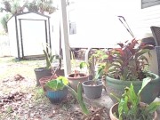 another non-nude upload me and Roxy spring cleaning 14/16