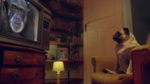 BENEFIT MONKEY: Coco Bae relaxes with Alex The Monkey - Exclusive Teaser!