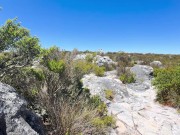 Touching her young and saggy tits and pussy in front of people outdoor 1/16