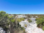 Touching her young and saggy tits and pussy in front of people outdoor 10/16