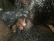 මෝල් වෙලා හොදටම පයිය උරනවා බඩු යනකම් |Blowjob Fun Small Tits Girl 10/16