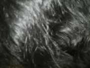 මෝල් වෙලා හොදටම පයිය උරනවා බඩු යනකම් |Blowjob Fun Small Tits Girl 13/16