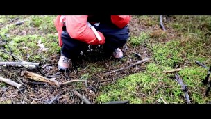 Yet another hiking piss, I'm doing that just by the hiking trail