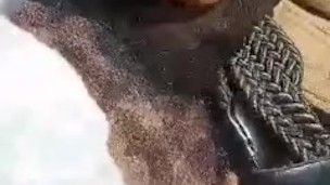 Sitting with my dick out outside