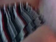 Mini Short de perrito 1/16