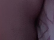 Mini Short de perrito 12/16