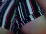 Mini Short de perrito 16/16