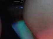 Mini Short de perrito 9/16