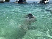 Um dia de praia… será que eu arrumei um amigo na praia? 10/16