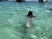 Um dia de praia… será que eu arrumei um amigo na praia? 11/16