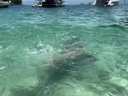 Um dia de praia… será que eu arrumei um amigo na praia? 9/16