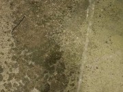 Desperate public piss outside my apartment