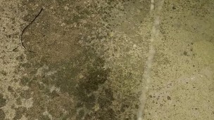 Desperate public piss outside my apartment