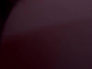 Horse Love to Fuck and Suck