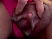 Bad Kitty - Screenshot 9 of 16 - Big Long Nipples