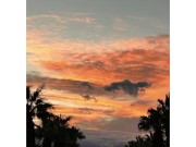 Bodacious Boobs, Cocks and Fine Asses 16/16