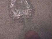 Peeing All Over My Soaking Piss-Stained Carpet 3/16
