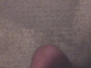 Peeing All Over My Soaking Piss-Stained Carpet 8/16