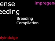 BREEDING COMPILATION/ BREEDING KINK 1 HOUR LONG AUDIO PORN/ IMPREGENATION KINK/ CREAMP PIE ASMR 10/16