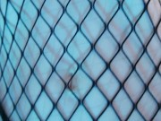 Time to relax with me 7/16