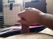 Shaven - Screenshot 13 of 16 - Cum