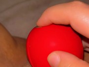 ROSE TOY SQUIRT 4/16