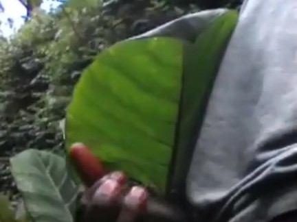 NAUGHTY BOY ALMOST CAUGHT MASTURBATING IN PUBLIC