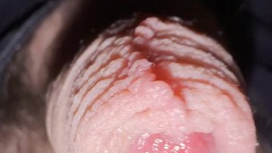 Hands-Free Cock Control - Chubby Bear Moves His 4 Inch Dick & Fills His Uncut Foreskin with Precum