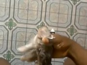 TOOTHPASTE TRICK 😮 GROW YOUR DICK BIGGER IN TWO WEEKS USING PASTE ONLY - Screenshot 11 of 16 - Lesbian