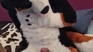 POURING CUM @AngryBarks edges with you to denied orgasm over and over until both of you..💦