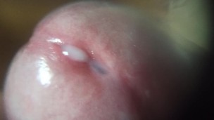 макро оргазм 3