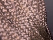 Phat Juicy & Wet 1/16